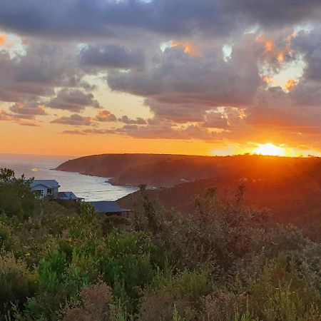Hakuna Matata Wildernis Exteriér fotografie